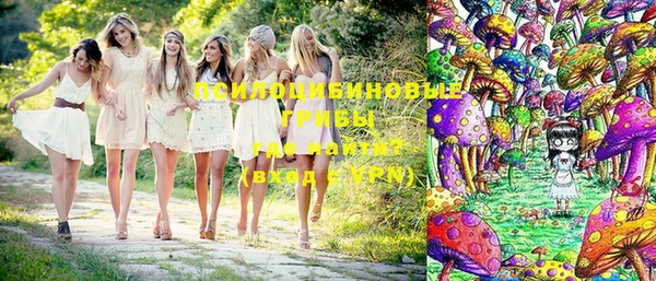 прущие грибы Каменногорск